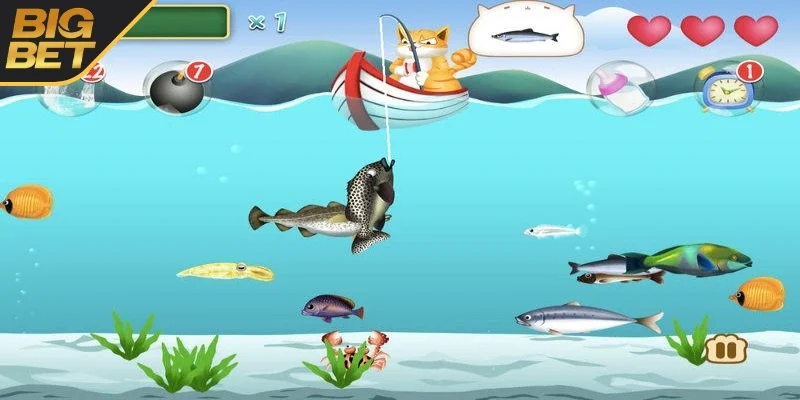 Cách chơi bắn cá dành cho bạn
